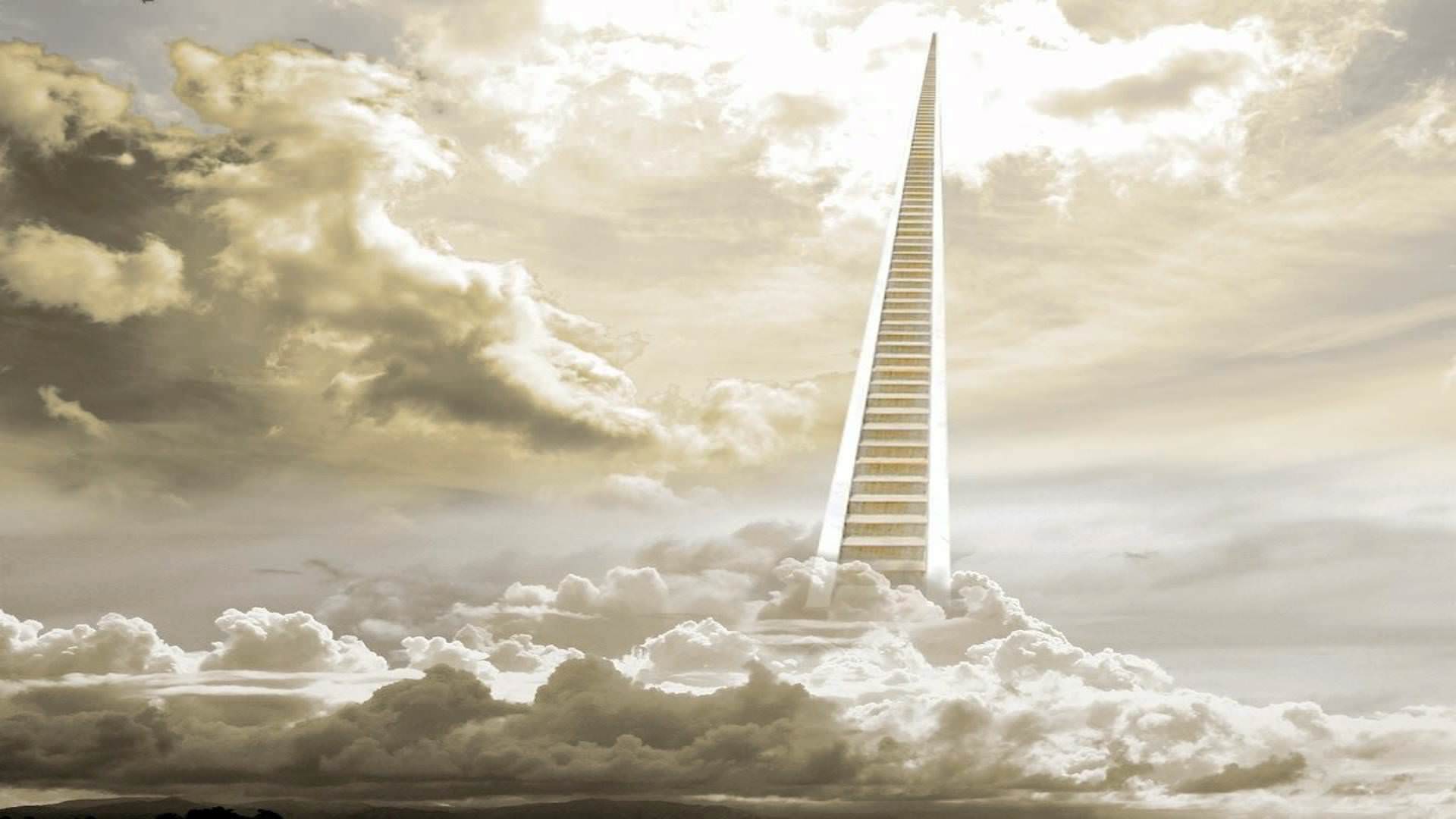El Reino de Dios por Alejandra Fidalgo