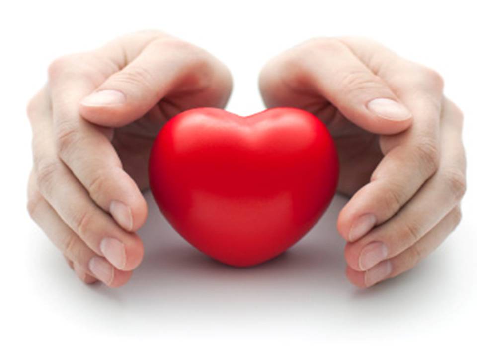El Corazón por Perla Dávila de Rivera