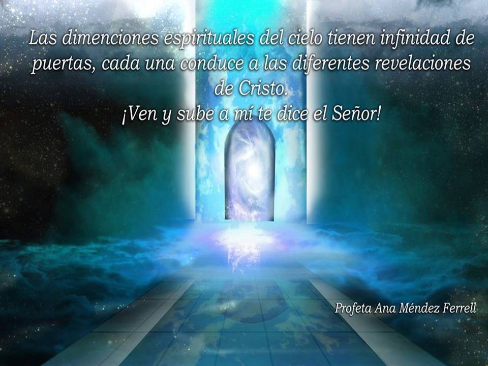 El Reino de Dios  por Alejandra Fidalgo