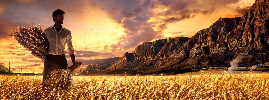 Principio de Siembra